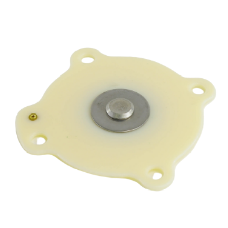 Asco 200-262 Rebuild Kit