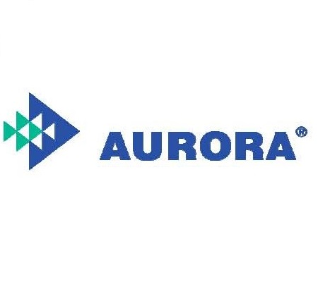 Aurora Pumps 364-1269-598 Split Casing Gasket (Set)