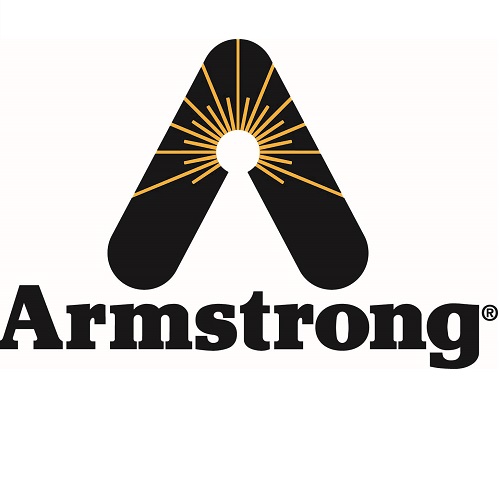 Armstrong International D25180 K-2105 2"Series2000Main Valve Kit