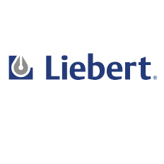 Liebert B-0450 2 Groove Fhp Sheave