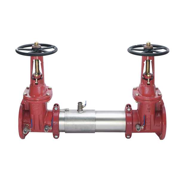 Watts 0792236 Double Check Valve Assembly 6" (757-DNRS)