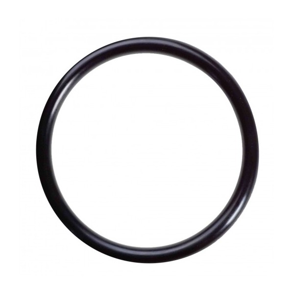 McDonnell & Miller 310801 Replacement O-Ring for FS250 Series Flow Switch