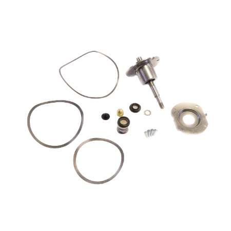 Lochinvar 100277757 Pump Bearing Kit