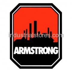 Armstrong Pumps As1270-250 O-Ring