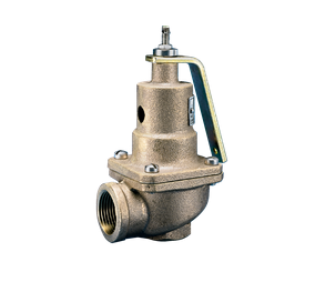 Kunkle 0537-H01-HM0035 Steam Safety Direct Spring Relief Valve 2" x 2-1/2" 35 PSI