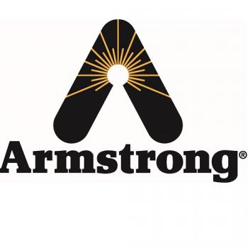 Armstrong International D25180 K-2105 2"Series2000Main Valve Kit