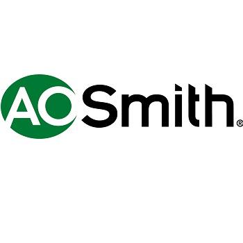 A.O. Smith 9005435105 Temperature & Pressure Gauge