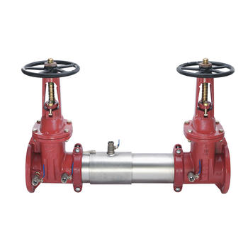 Watts 0792236 Double Check Valve Assembly 6" (757-DNRS)