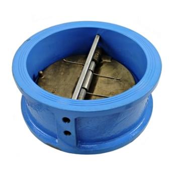 Watts 0625507 Wafer Check Valve 10" (ICV-125-2-2-T)