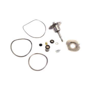 Lochinvar 100277757 Pump Bearing Kit