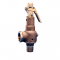 Kunkle 6010HG-E01-LM0050 Bronze Safety Relief Valve with Side Outlet 1-1/2" 50 PSI