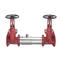 Watts 0792236 Double Check Valve Assembly 6" (757-DNRS)