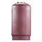 Watts 0212005 Pressurized Expansion Tank 60-Gallon ETA-100