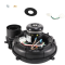 Heil-Quaker 1193419 Inducer Assembly